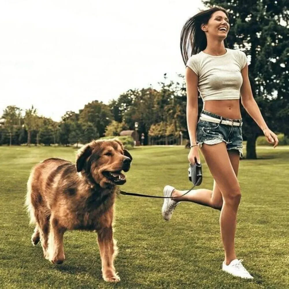 Fida Retractable Dog‎ Leash with Dispenser Large